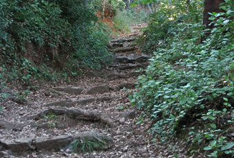 Rutas-y-Senderos-Castano-Alajar-1