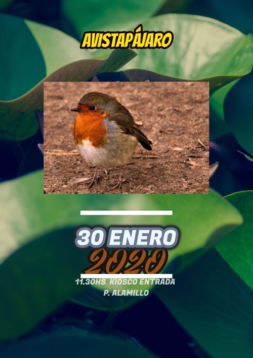 cartel 30.01.2020.jpg